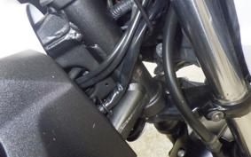 KAWASAKI Z250 2008 ER250C