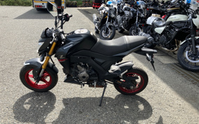 KAWASAKI Z125 PRO BR125H