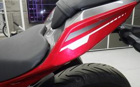 KAWASAKI NINJA 250 EX250P