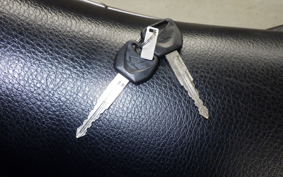 HONDA CRF250 RALLY A 2014 MD44