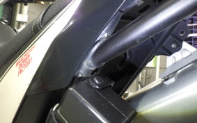 YAMAHA WR250X 2024 DG15J