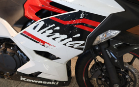 KAWASAKI NINJA 250 EX250P