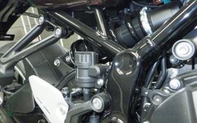 KAWASAKI Z900RS 2025 ZR900K