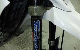 YAMAHA WR250X 2021 DG15J