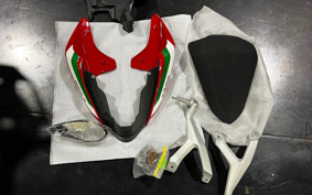 DUCATI PANIGA-REV2 BAYLISS 2022 1H00