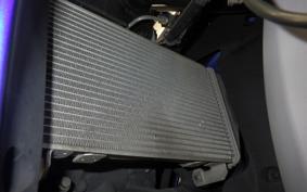 YAMAHA YZF-R25 A RG43J