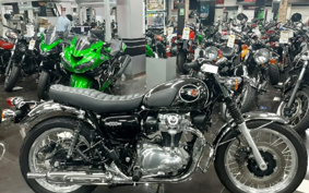 KAWASAKI W800 2022 EJ800E