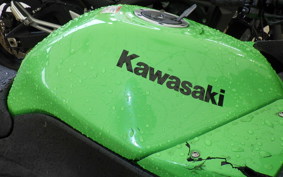 KAWASAKI NINJA 250R 2007 EX250K