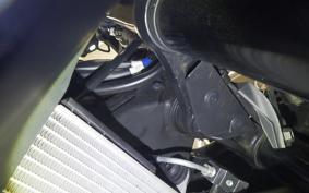 YAMAHA YZF-R25 A 2006 RG43J