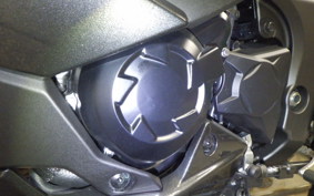 KAWASAKI NINJA1100SX 2025