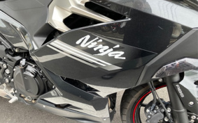 KAWASAKI NINJA 250 EX250P