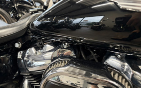 HARLEY FLFBS 2021 YGK