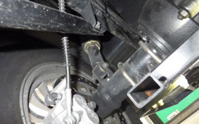 OTHER UNREGISTERED MODEL by BDS125 TRIKE 2021