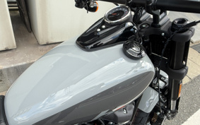 HARLEY FXFBS 2026 YLK