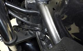 KAWASAKI NINJA 250 EX250P