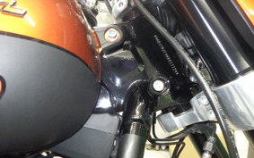HARLEY FLSB 1750 2019