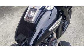 HARLEY FLSTC 2000 BJY