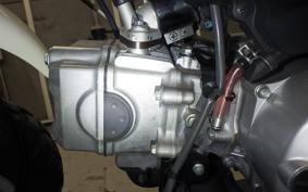 HONDA MONKEY 2021 AB27