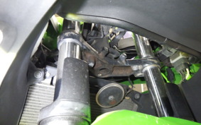 KAWASAKI NINJA 250 2008 EX250L