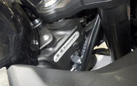 KAWASAKI NINJA 1000SX 2020 ZXT02K