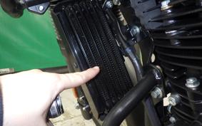 OTHER +ENFIELD ﾋﾏﾗﾔﾝ