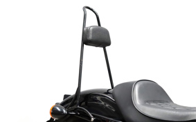 HARLEY XL1200NS 2020 LP3