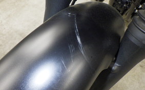 KAWASAKI W800 CAFE 2021 EJ800B