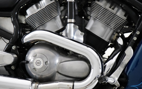 HARLEY VRSCB 2004 HBZ