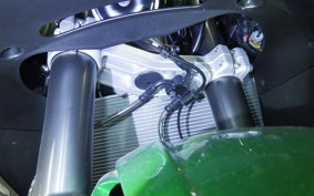 KAWASAKI NINJA1100SX SE 2025