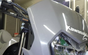 KAWASAKI KLX230 SM LX232A