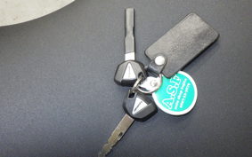 KAWASAKI VERSYS 1000 SE 2019