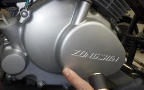 OTHER +UNREGISTERED MODEL by BDS TRIKE250 GW