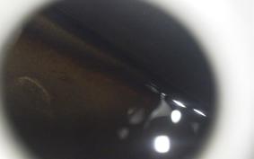 KAWASAKI VULCAN 400 Gen.2 1995 VN400A