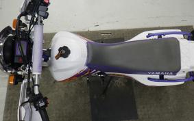 YAMAHA TT250R RAID 2013 4GY