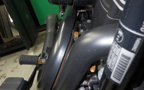 HARLEY XG750 STREET 2015