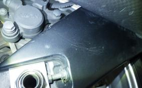 YAMAHA FZ1 FAZER 2008 RN21J