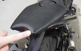 KAWASAKI Z1000 Gen.5 2017