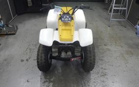 YAMAHA YF100M 2021 3GB