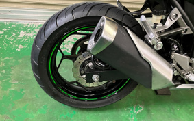 KAWASAKI NINJA 250 EX250L