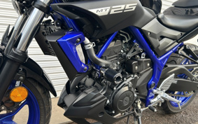 YAMAHA MT-25 RG43J