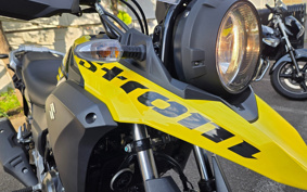 SUZUKI STROM 250 DS11A