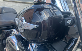 HARLEY FLFBS 2021 YGK