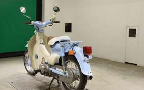 HONDA LITTLE CUB E 2007 AA01