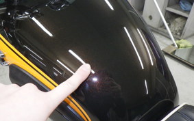 KAWASAKI W800 2018 EJ800A