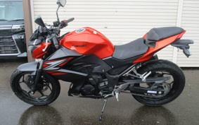 KAWASAKI Z250 ER250C