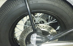 OTHER THUNDER 250 2025