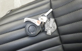 HARLEY FXST1750 2024