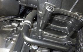 HONDA REBEL 1100 DCT 2025 SC83