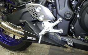 YAMAHA YZF-R25 2007 RG10J