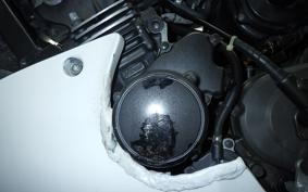 HONDA HORNET 250 2010 MC31